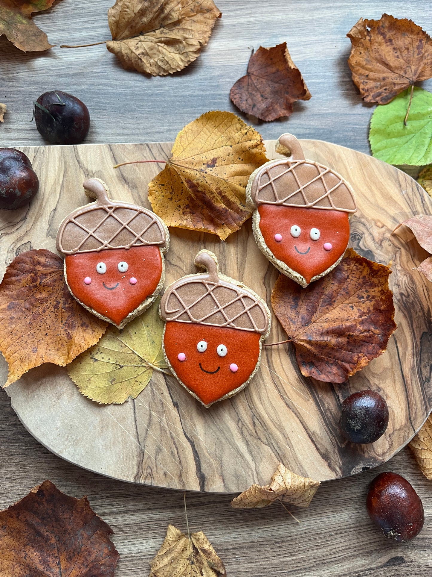 Happy Lil' Acorns