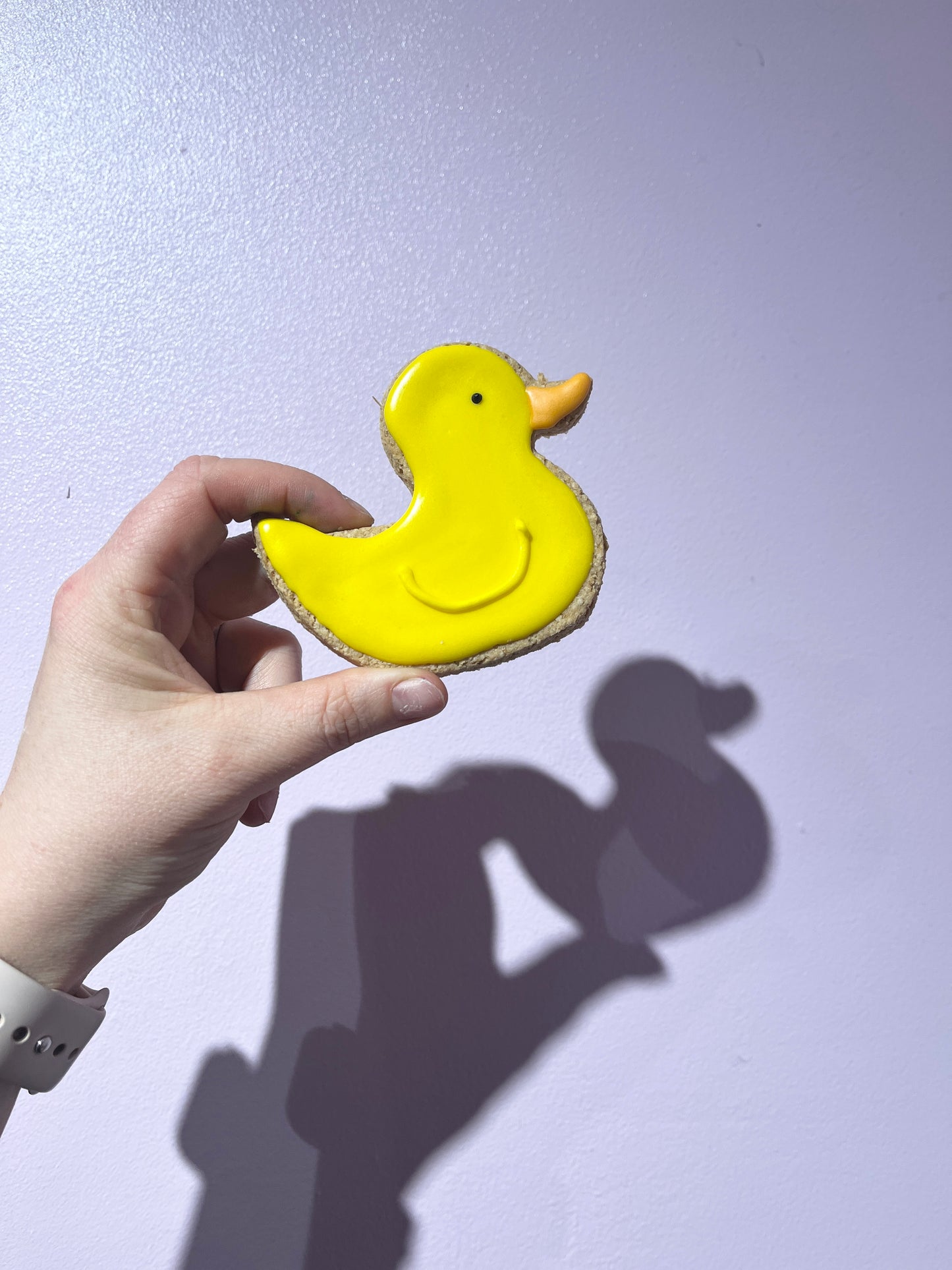 Quacker McQuackerson