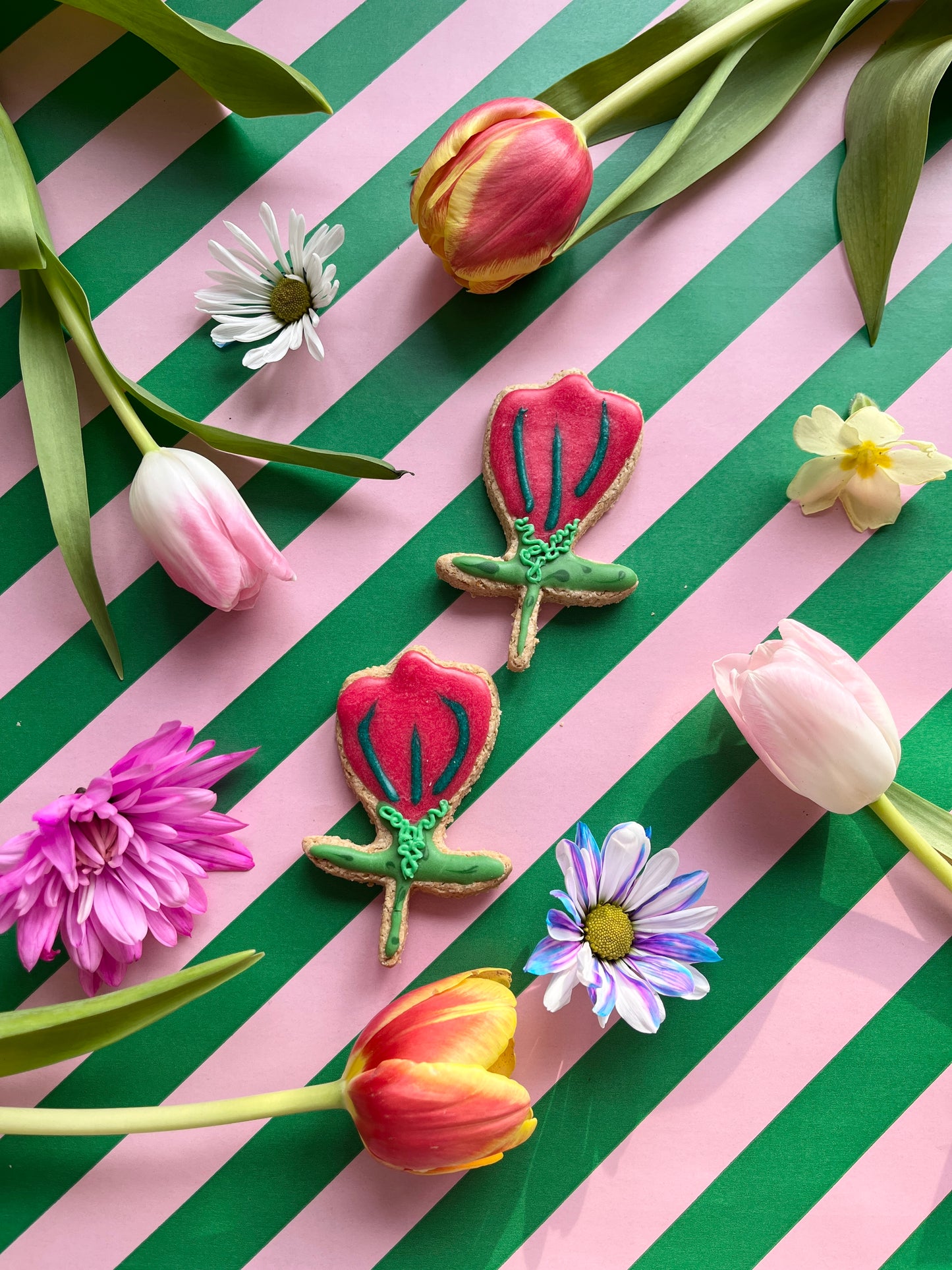 Tulip me crazy!