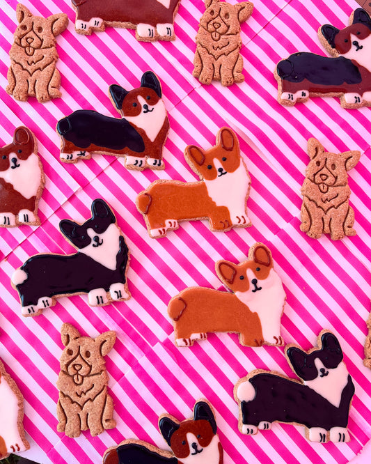 Corgi Cuteness