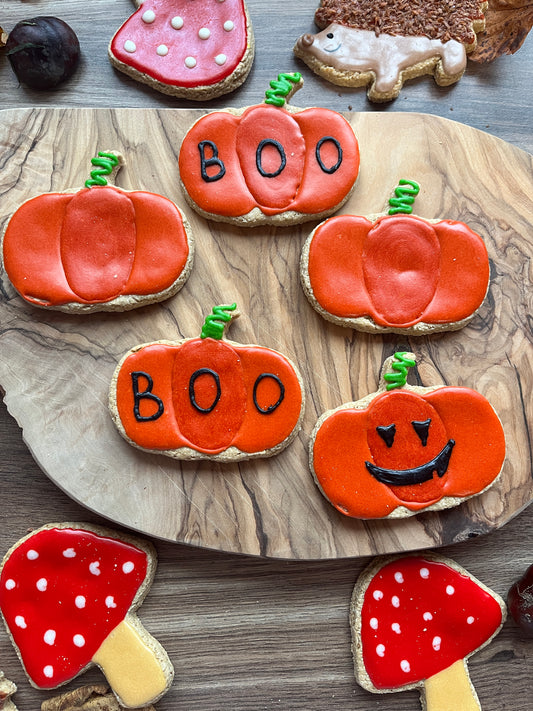 Pumpkin Patch